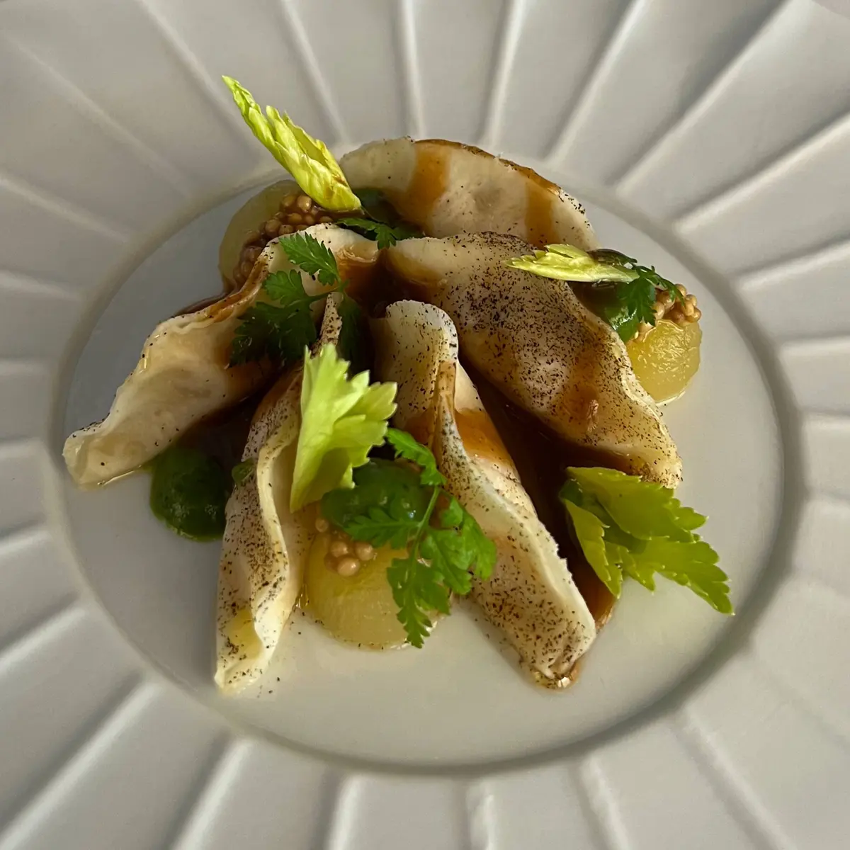 creation thumb for Celeriac Root Raviolo