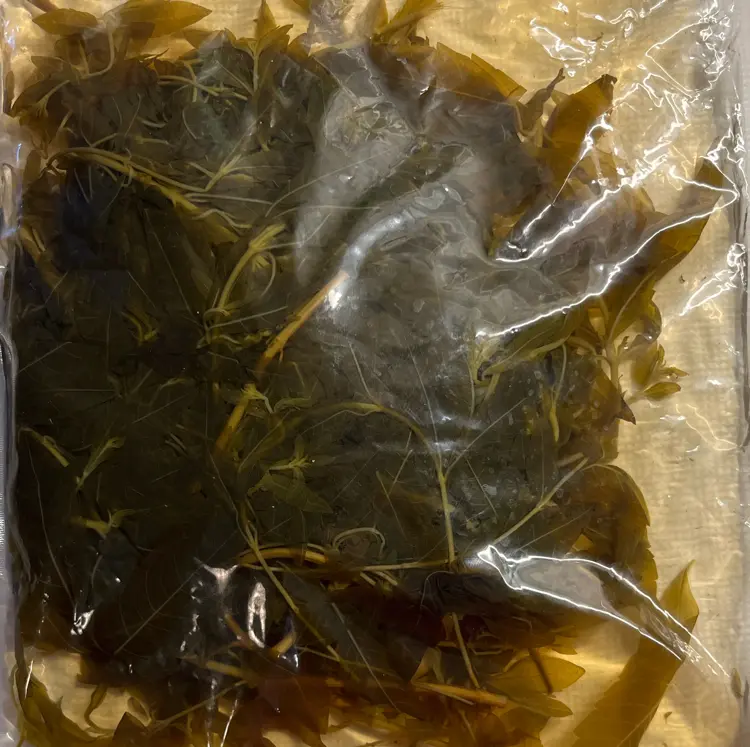 creation thumb for Lemon verbena vinegar