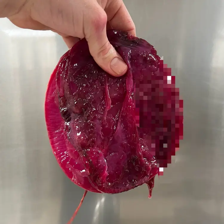 creation thumb for Cherry blossom & beetroot kombucha