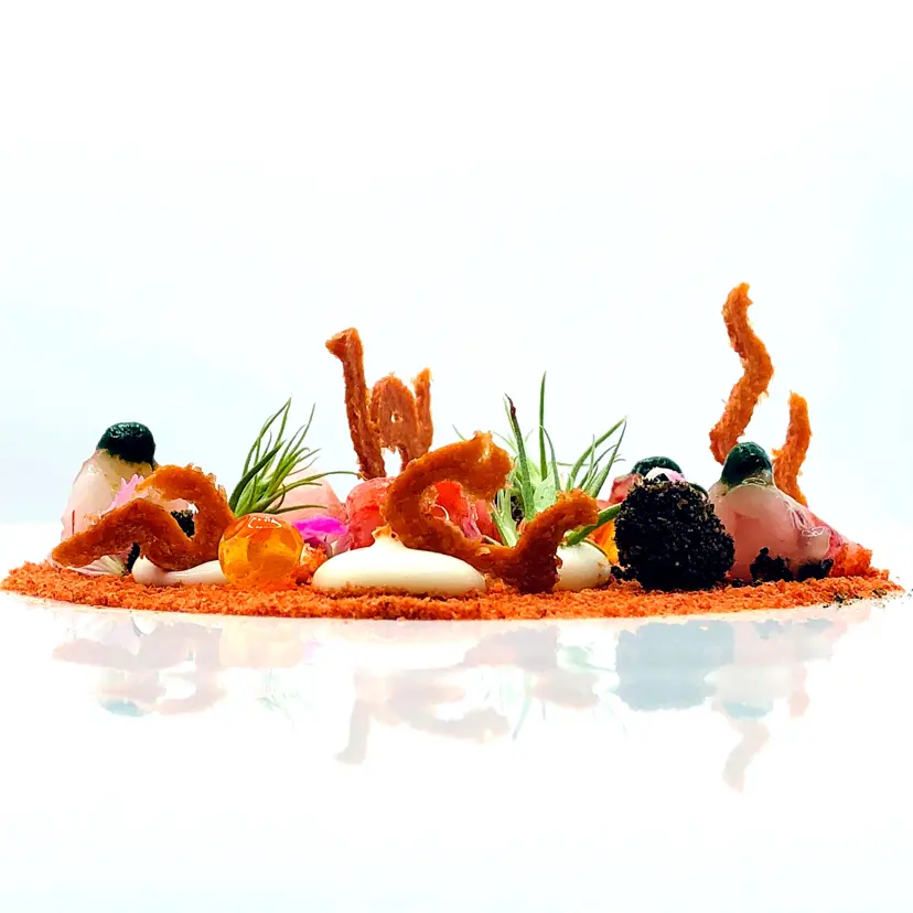 creation thumb for Red desert (dehydrated red shrimp)