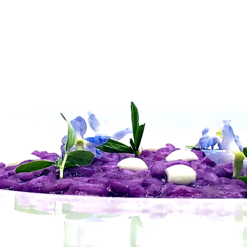 creation thumb for Carnaroli and purple cabbage