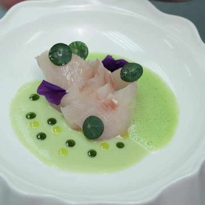 creation thumb for Marinated Hamachi,green melon gazpacho 