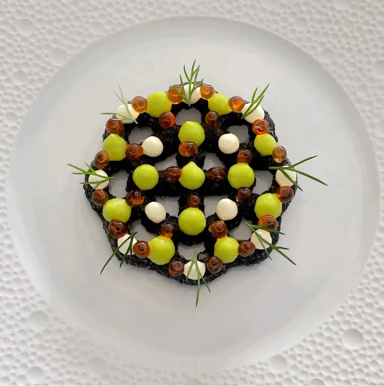 creation thumb for Salmon Croustade with Avocado and Creme Fraiche