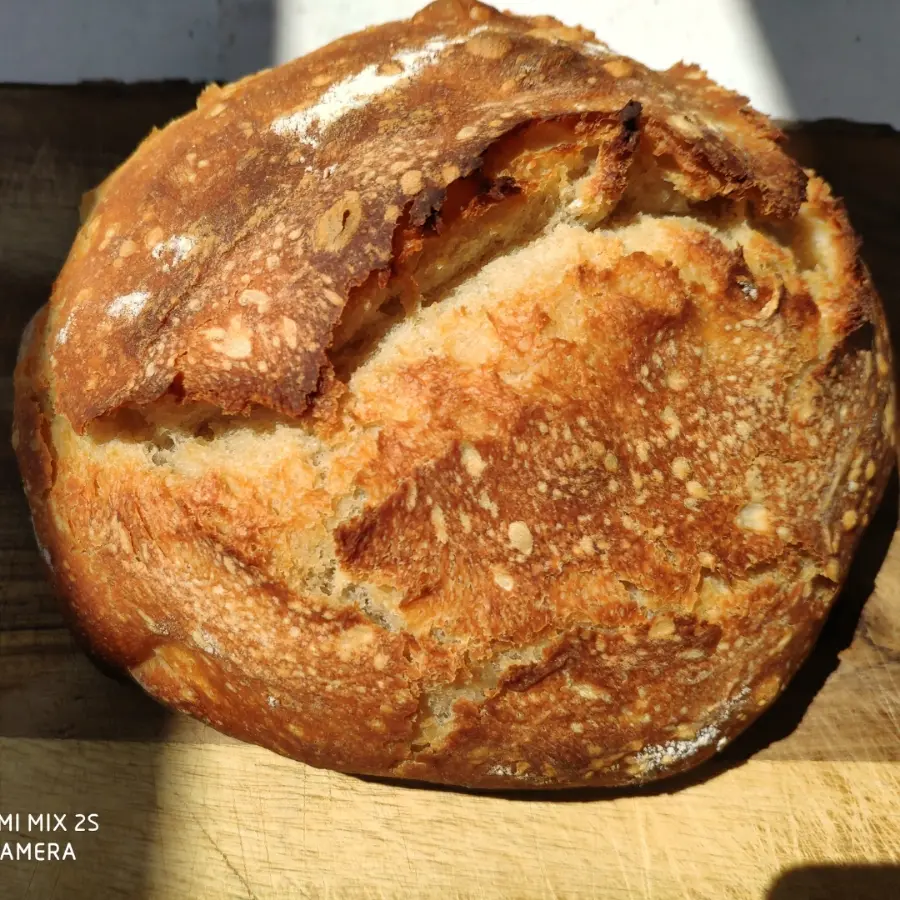 creation thumb for Sourdough bread #stayhome