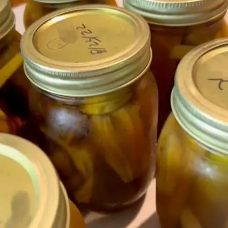 creation thumb for Pickling w/Liquor