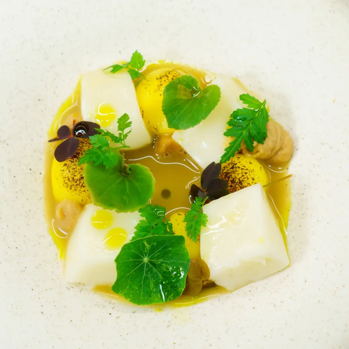 creation thumb for Kuzu Parmesan gelle with potatoes and mushroom umami broth