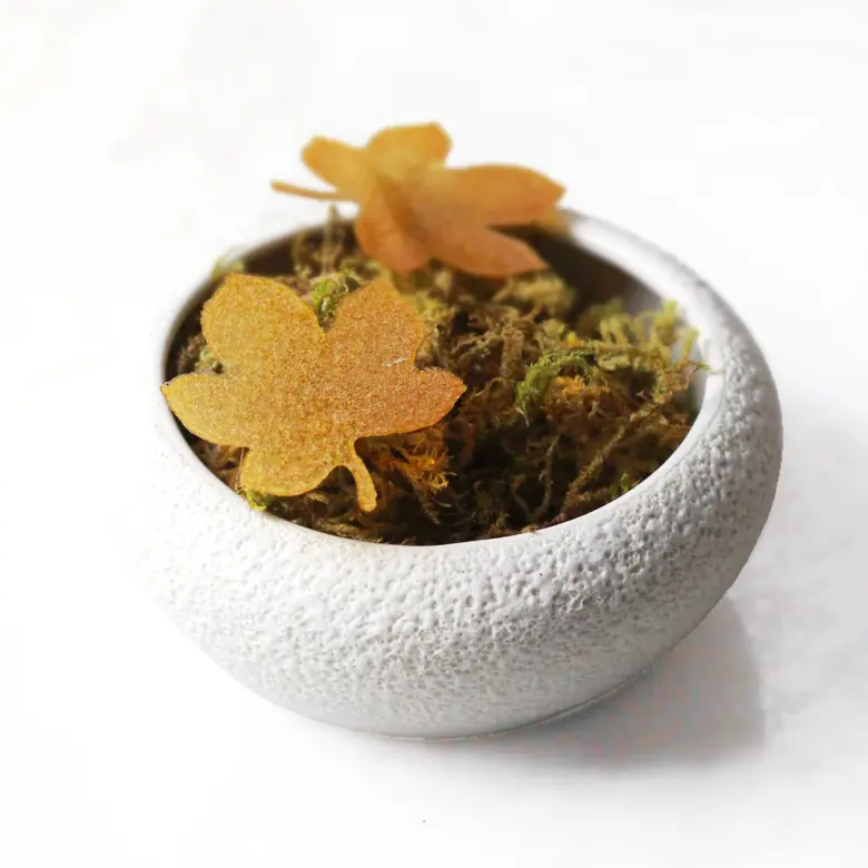 creation thumb for Crunchy pear and coffee leaves