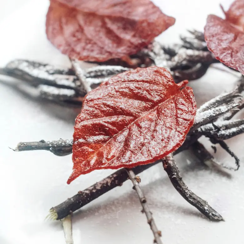 creation thumb for Beetroot and Honey Leaves