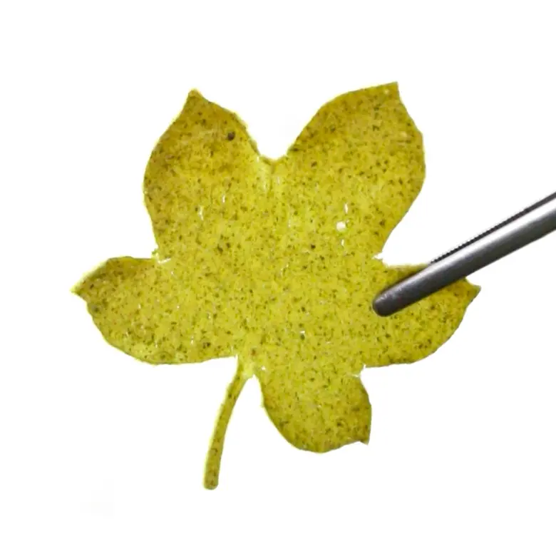 creation thumb for Broccoli Crunchy Leaves & Green Oil