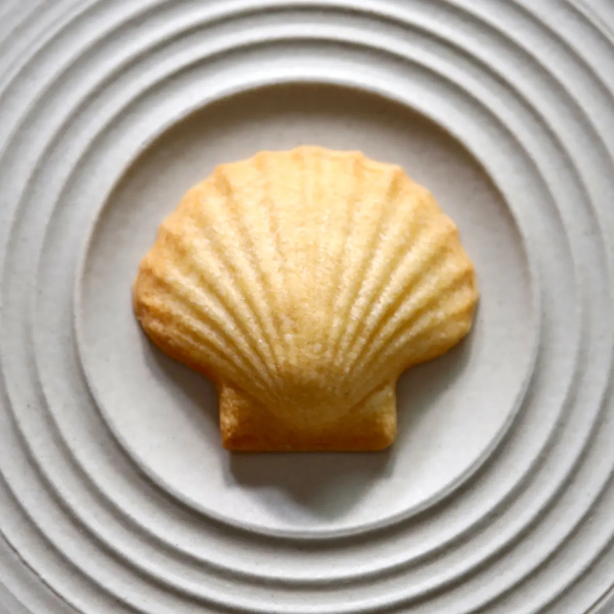 creation thumb for Tartelletta di corallo di capesante