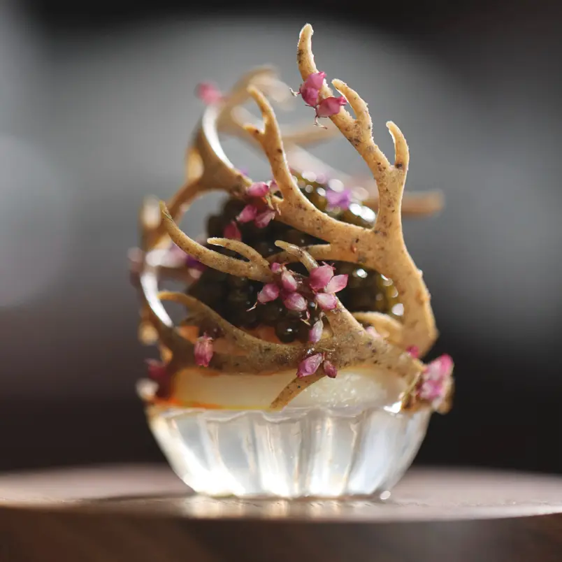 creation thumb for Vegan Glass Tartlet
