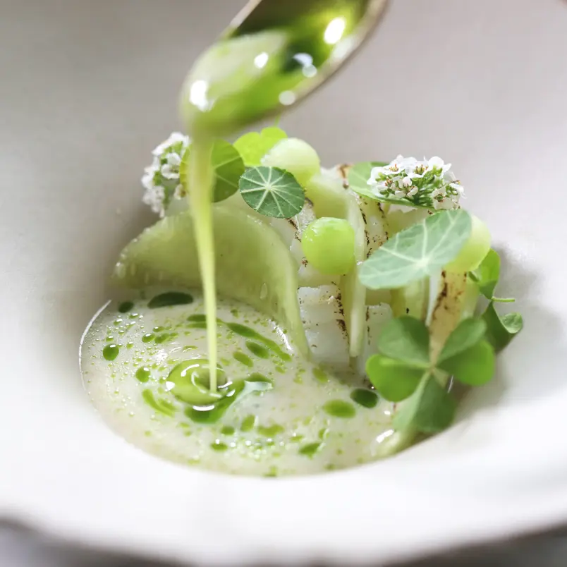 creation thumb for Fennel & Herbs Sauce