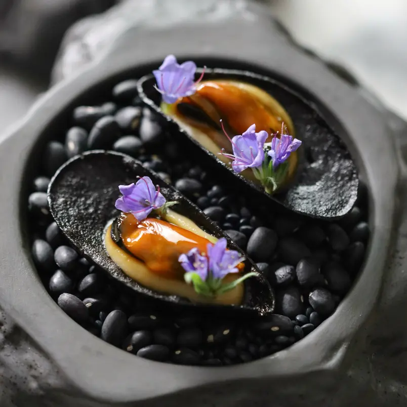 creation thumb for Edible Mussel Shells