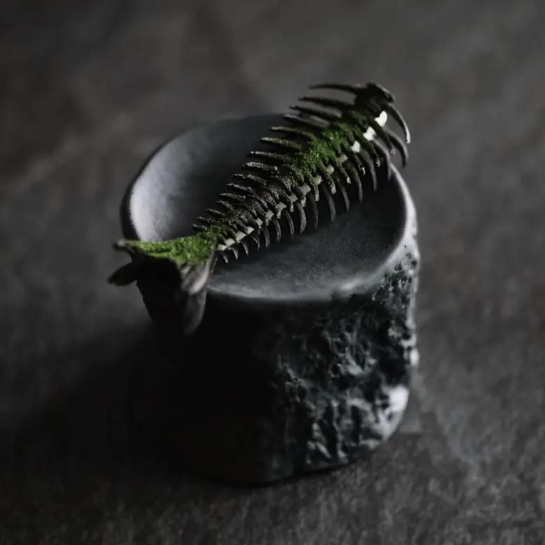 creation thumb for Anchovies & Squid Ink Tuile, Parsley Powder, Cod Cream