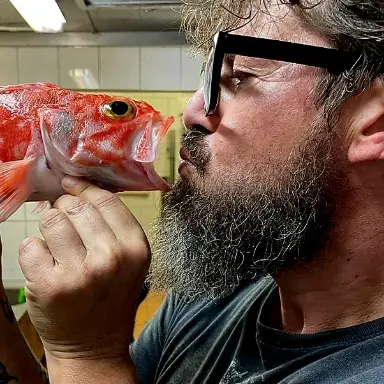 creation thumb for Red scorpionfish stew and its fillet