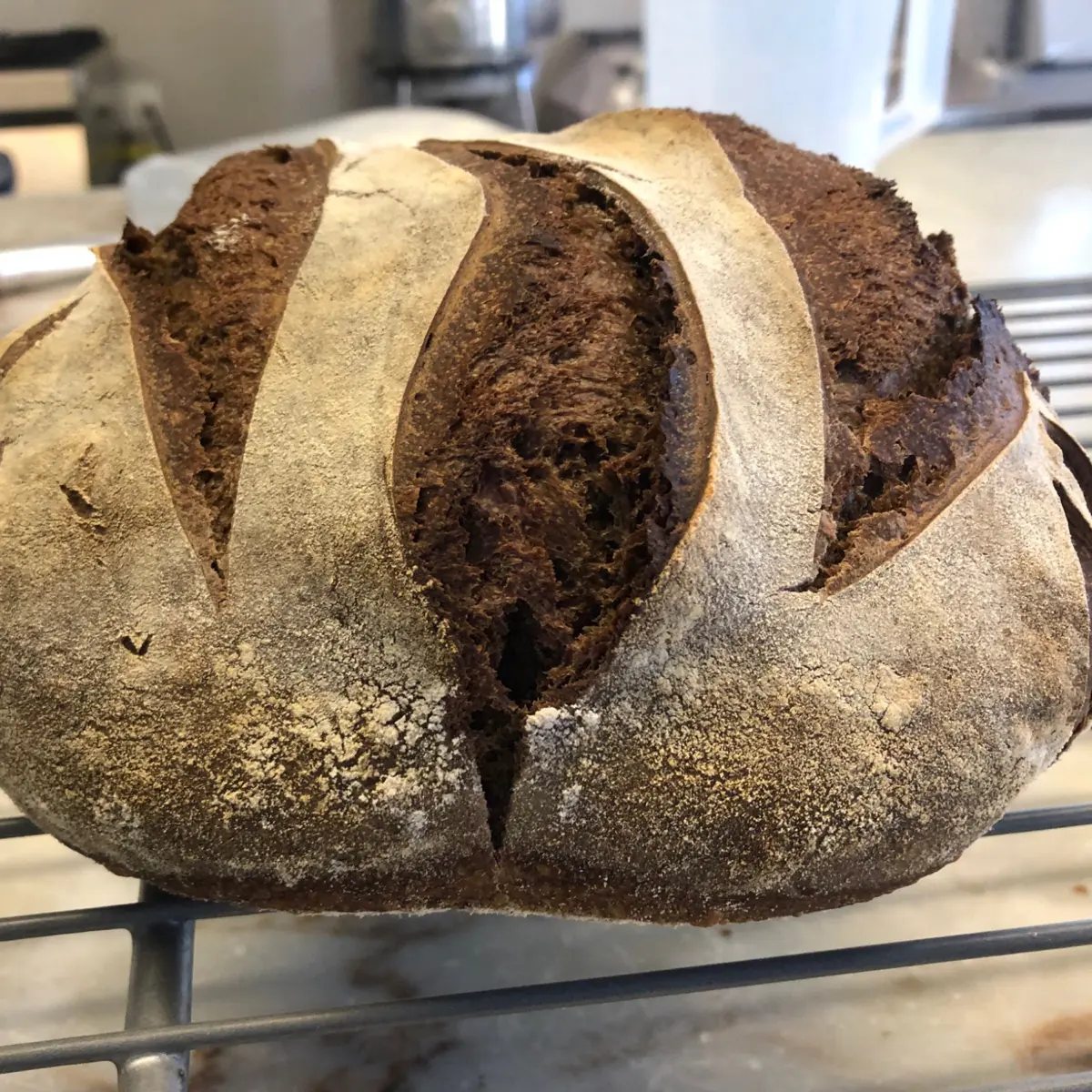 creation thumb for Locust bean and Spelt Sourdough Bread 100%