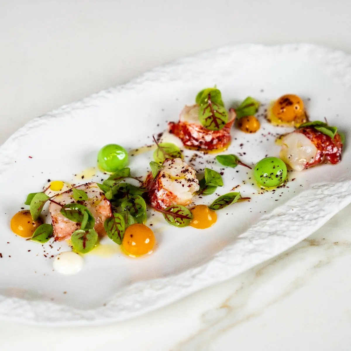 creation thumb for Signature Dish: lobster | cauliflower | avocado | vene cress
