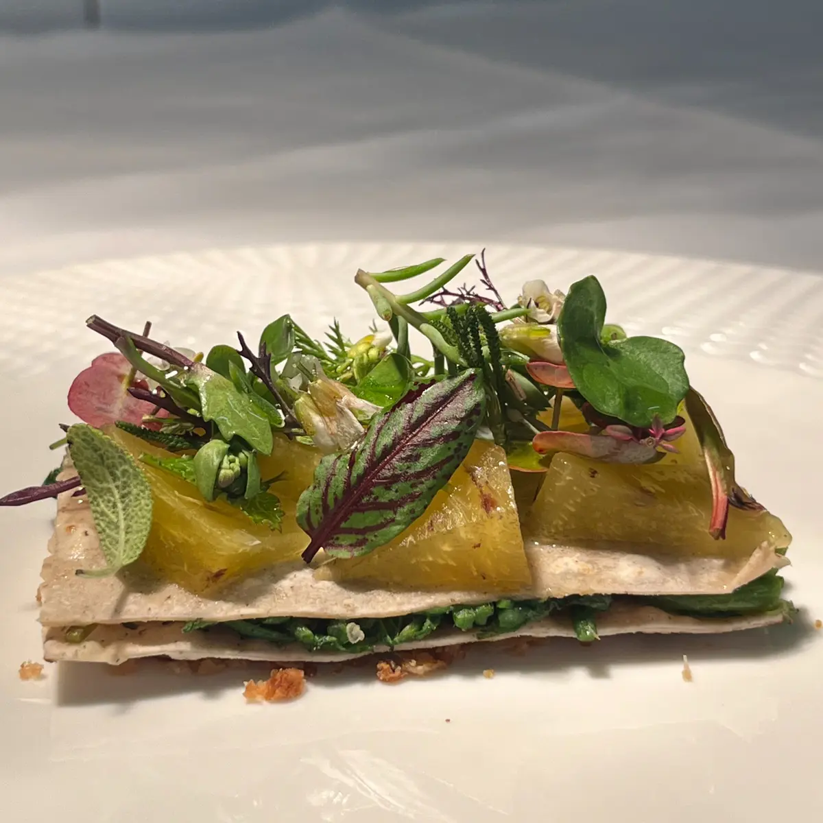 creation thumb for Tortello alla Lastra, Herbs, Pickled Persimmon, Ciccioli