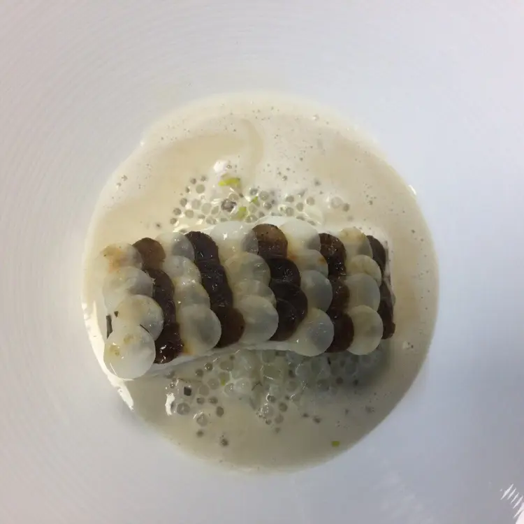 creation thumb for Turbot with Pearl tapioca fish veloute.