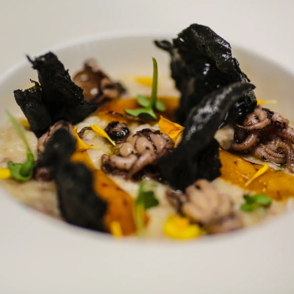 creation thumb for New dish