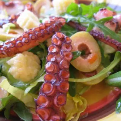 creation thumb for Kroatische Oktopus-Salat (Salata Hobotnice)