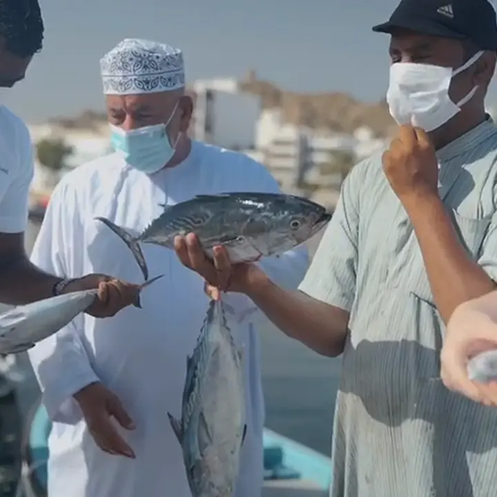 creation thumb for 🐋🐋🐟🦐🦞🦀 Checking the quality of fish at fish bay,by Chef Gihan
