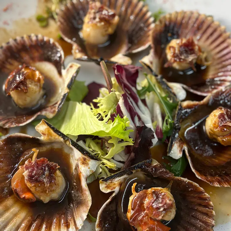 creation thumb for Vieiras mit Sherry-Reduktion und Iberico-Schinkenraspeln