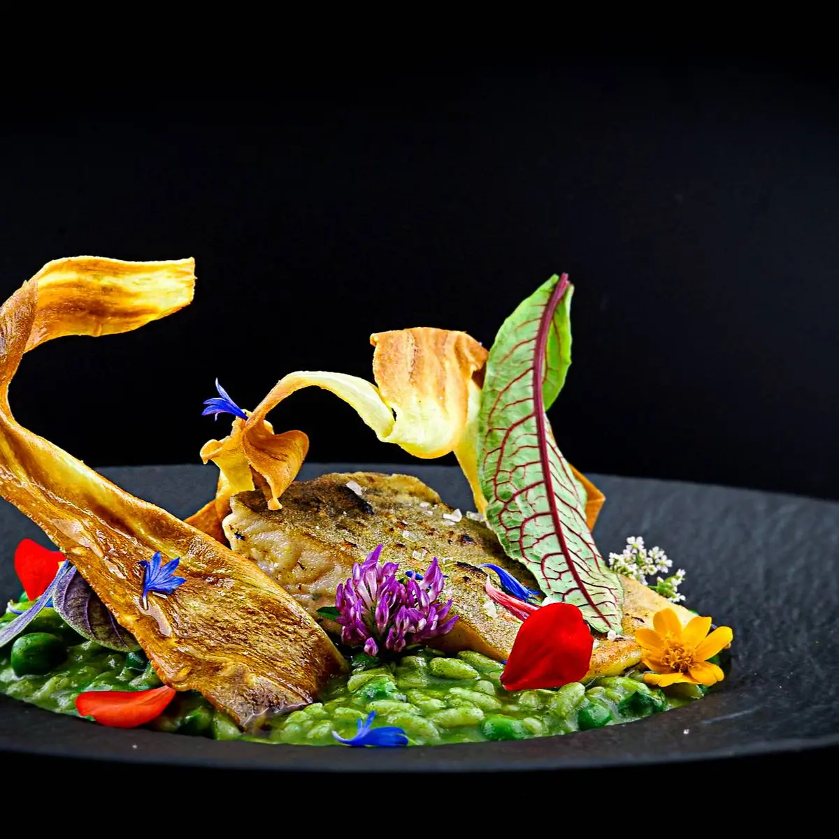 creation thumb for Green parsley risotto with Alpine char