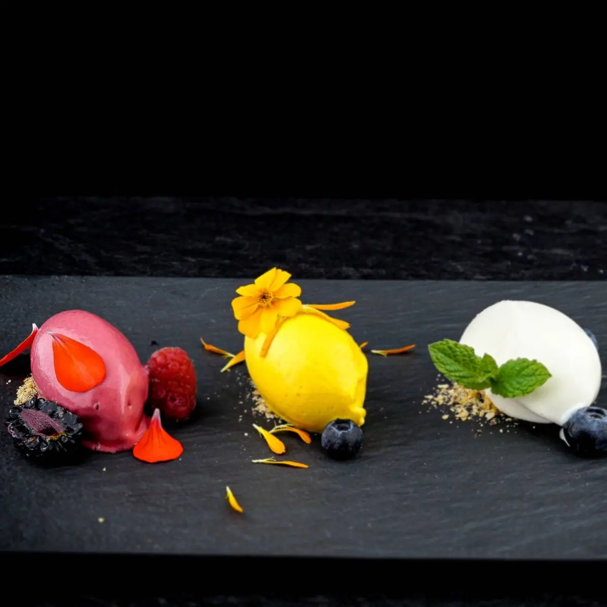 creation thumb for Homemade Sorbets