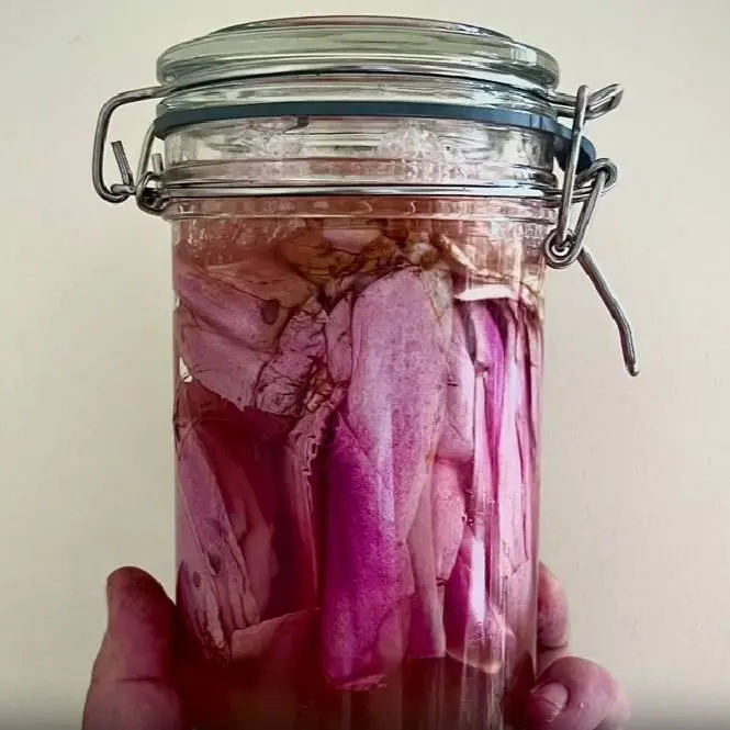creation thumb for Pickled magnolia flowers