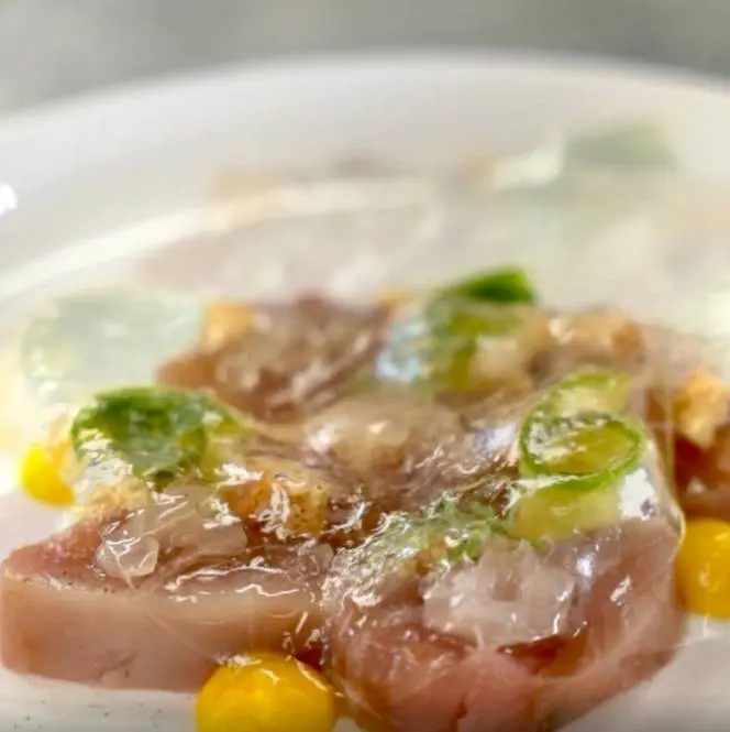 creation thumb for Marinated Bonito