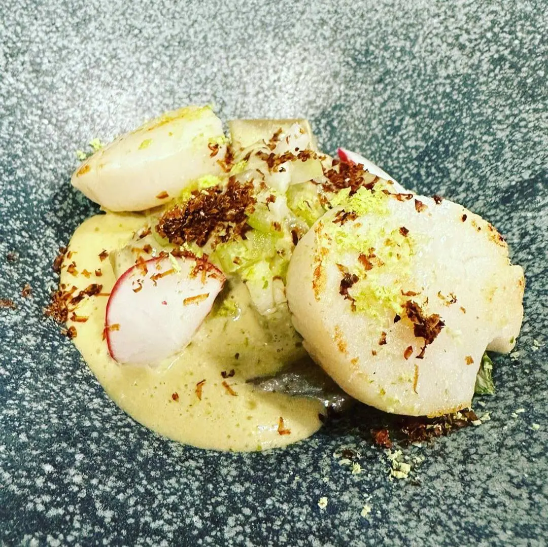 creation thumb for Cardo con Crema di Pistacchio, Sedano e Finocchio, Capesante