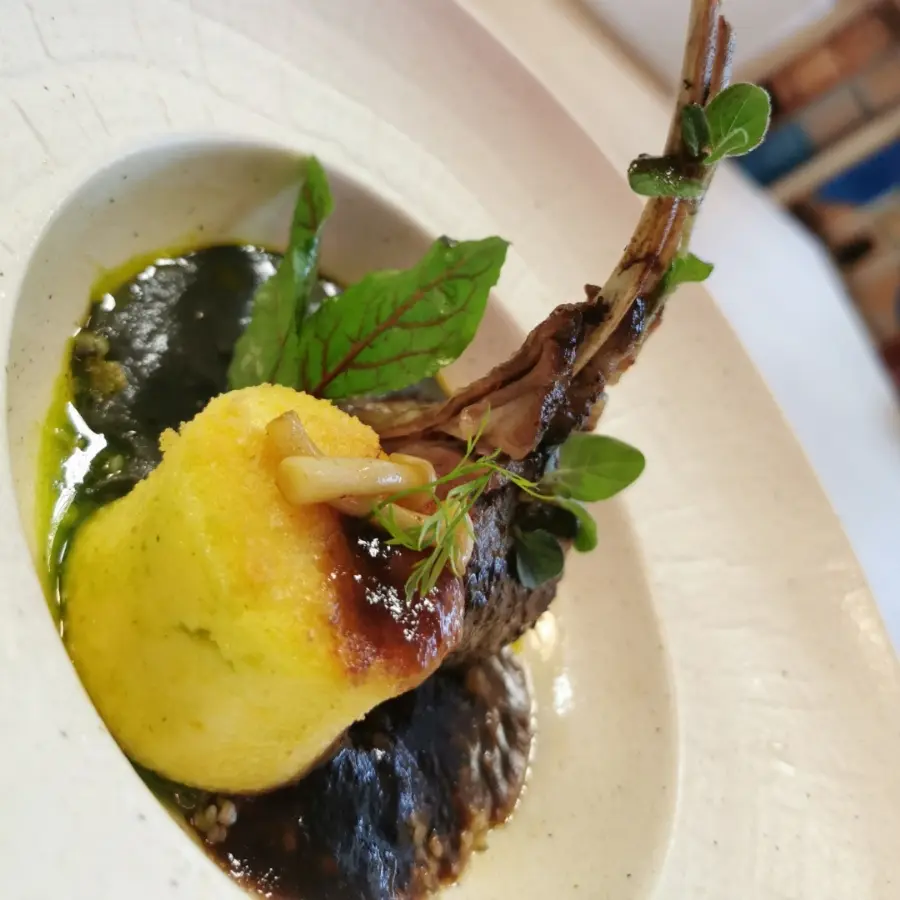 creation thumb for Lamb on celery cream with demi-glace sauce  👨‍🍳