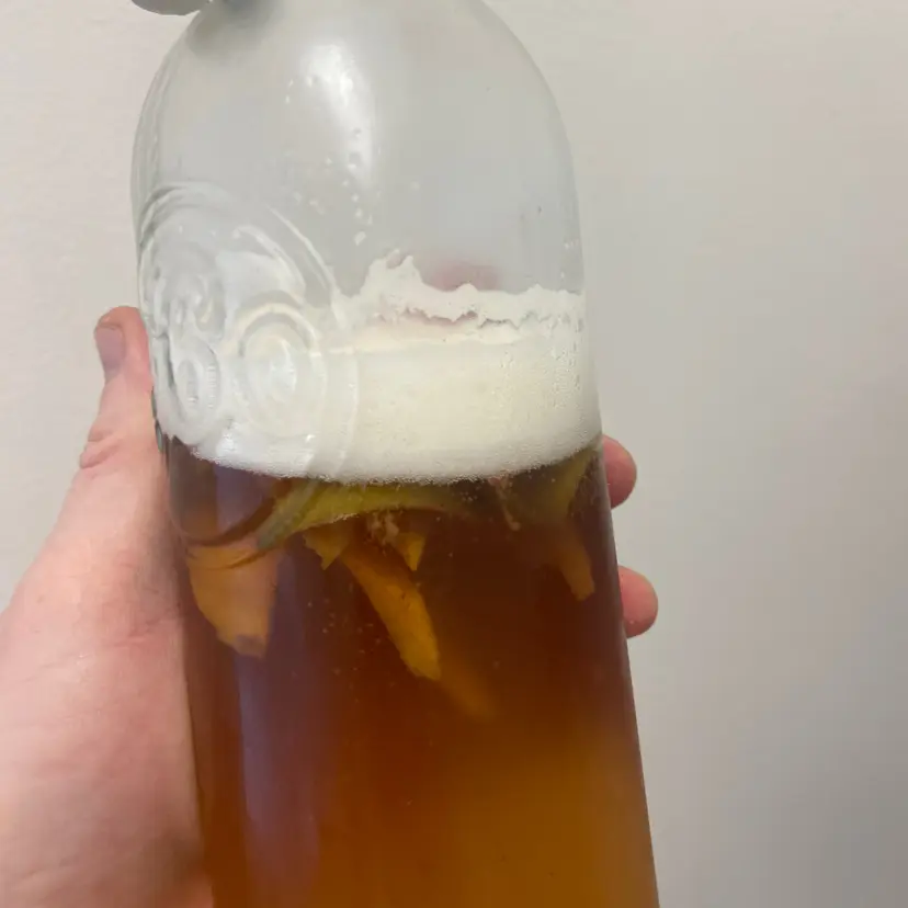 creation thumb for Cola Kombucha