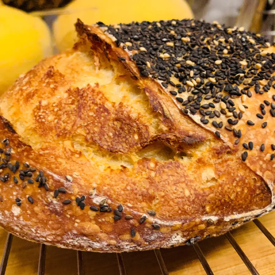 creation thumb for Sour Dough Bread
