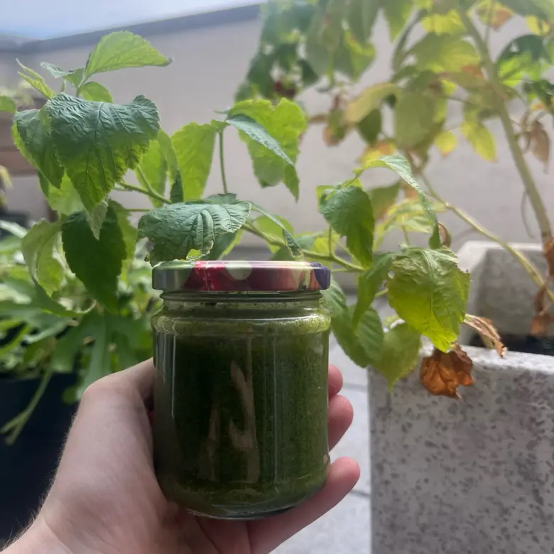 creation thumb for Basil Pesto