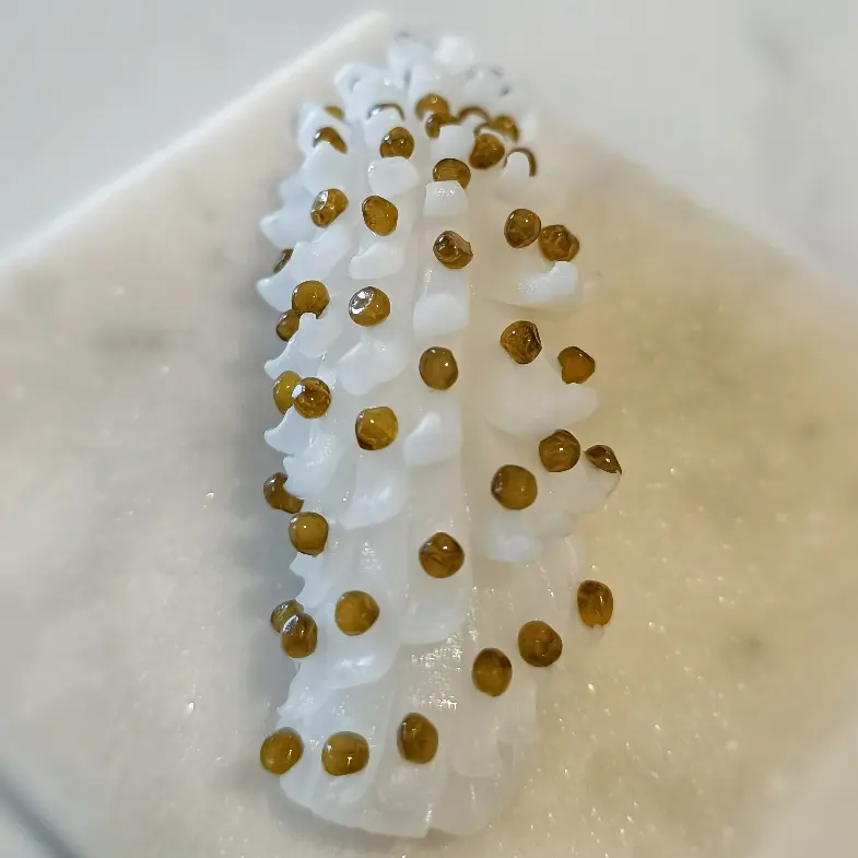 creation thumb for Cuttlefish and caviar nigiri dishes
