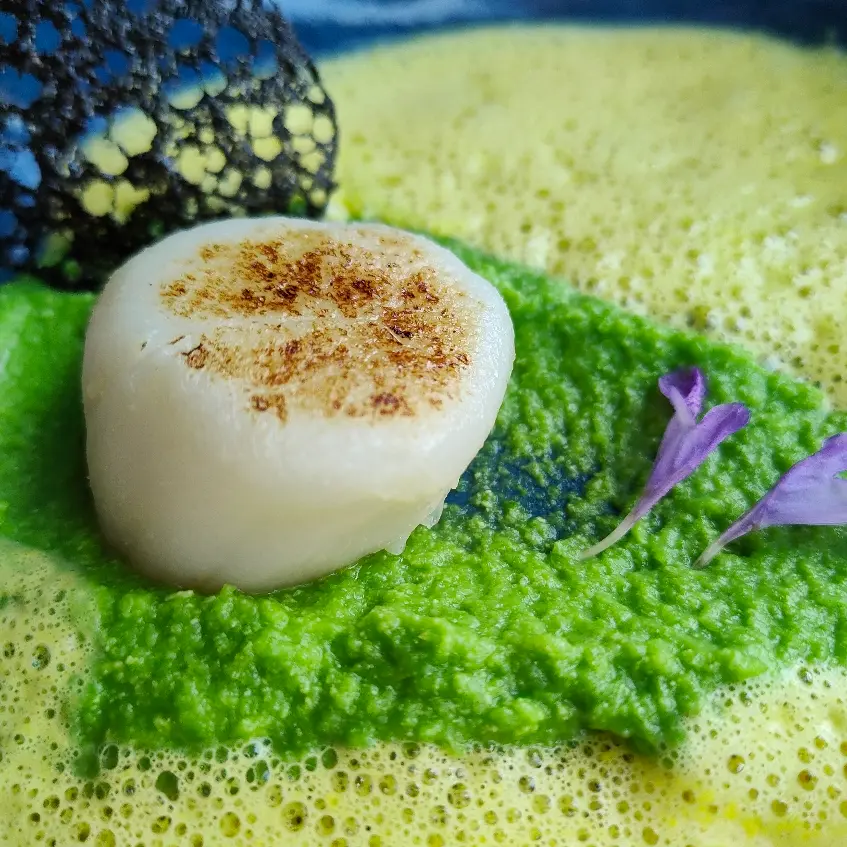 creation thumb for Sous-vide scallop on pea puree with saffron foam