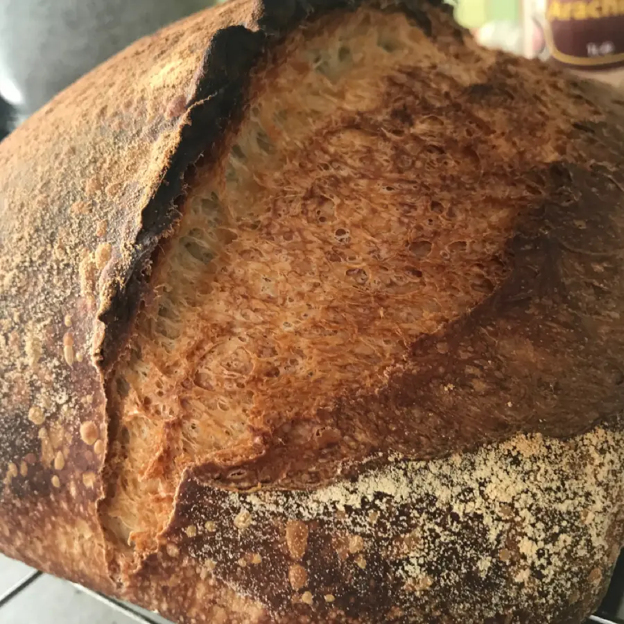 creation thumb for Sourdough