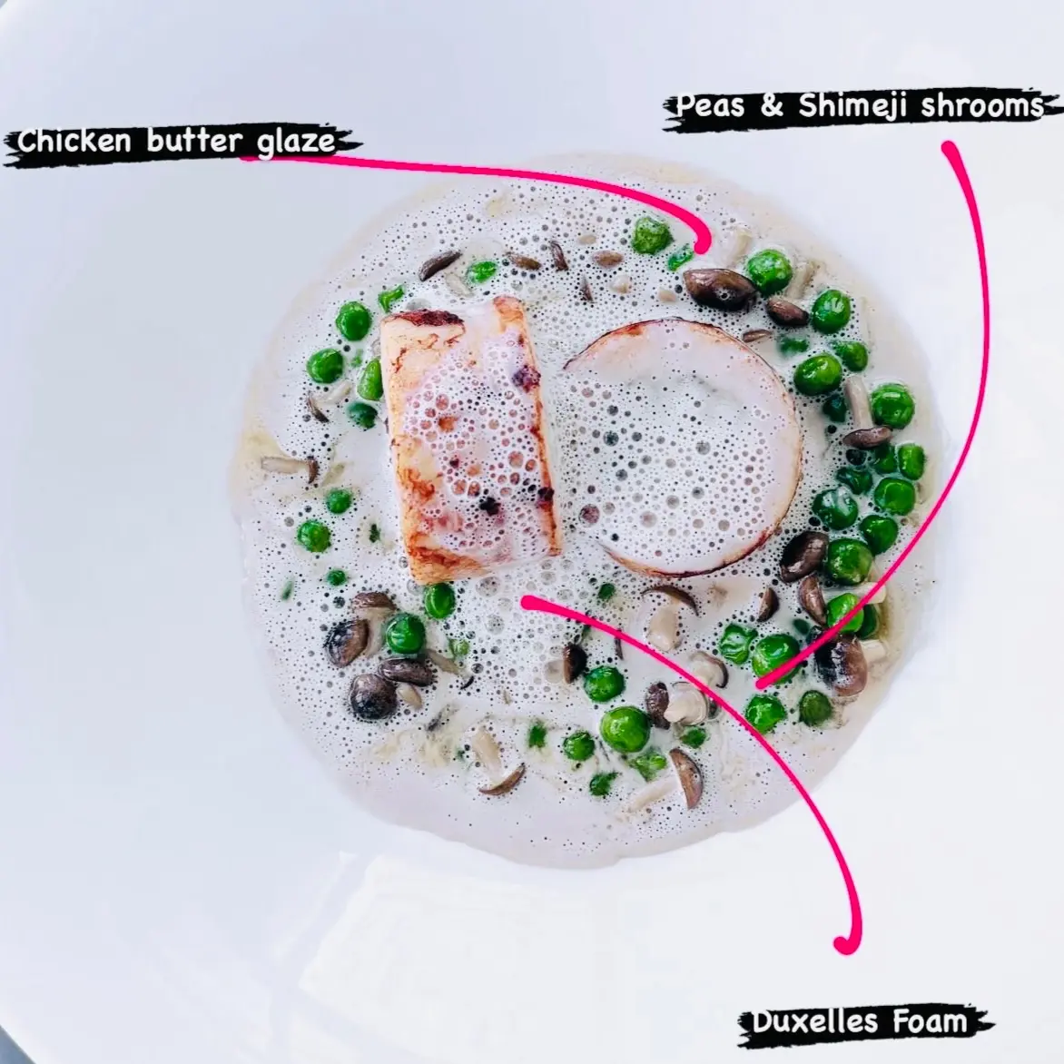 creation thumb for Chicken Ballotin with Pea, Beech & Foam