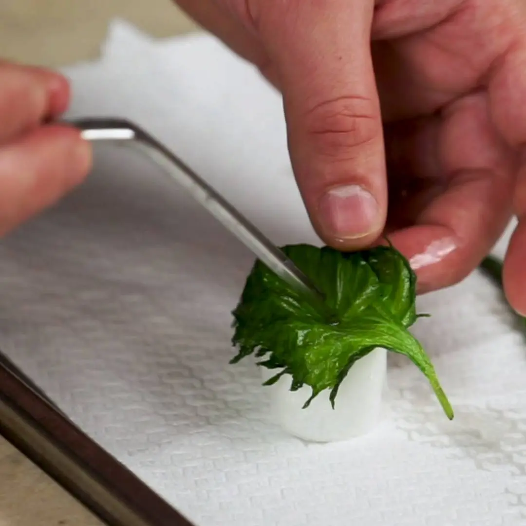 creation thumb for Crispy Shiso Leaves and hamachi