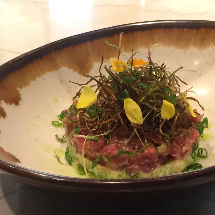 creation thumb for Avocado mousse with ponzu tuna, garnished with bushy leeks