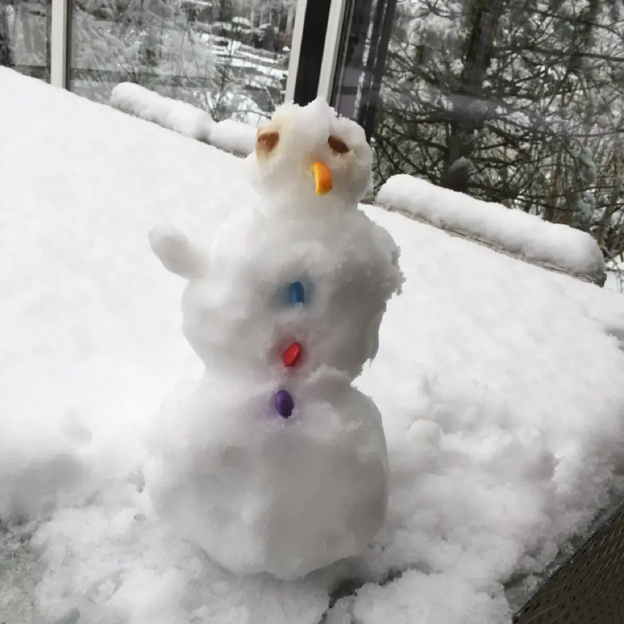 creation thumb for Snowman in the House
