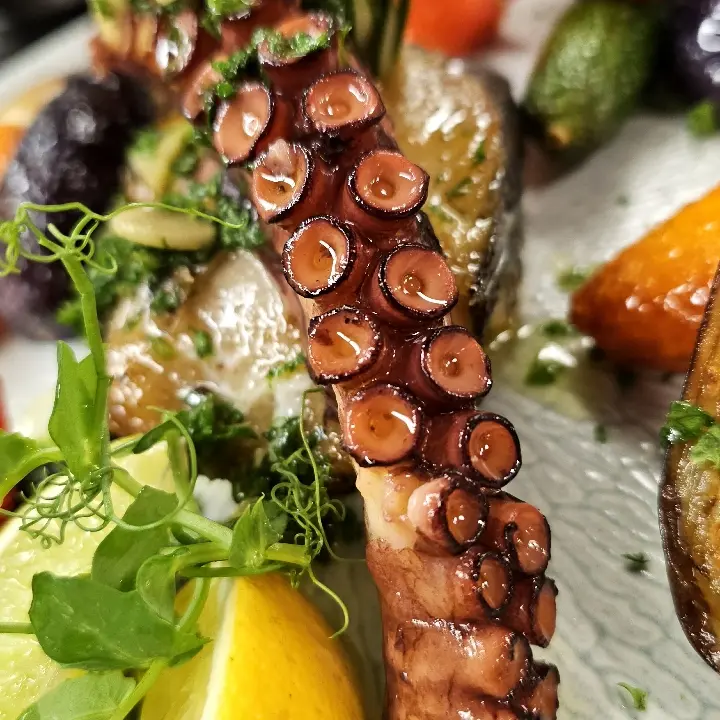 creation thumb for Octopus & Hake