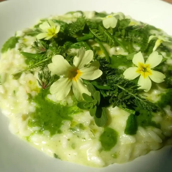 creation thumb for Risotto alle erbette di campo