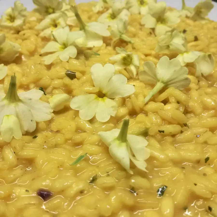 creation thumb for Risotto zafferano e primule