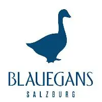 Arthotel & Restaurant Blaue Gans