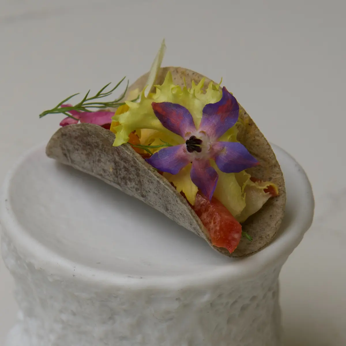 creation thumb for Tacos with Burnt Grain Flour, papacella and Caper Cream