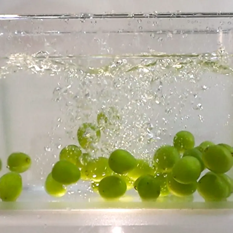 creation thumb for Pressure Pop Grapes & Cheese