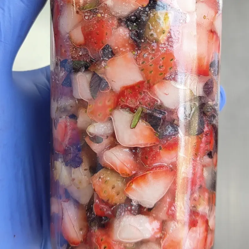 creation thumb for Fermented Strawberry and Peppermint